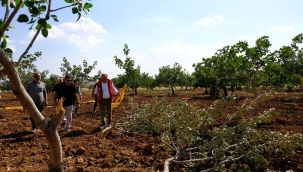 Kaymakam Gürbüz, Çiftçilerin zararı karşılanacak