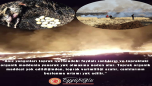 Milletvekili Eyyüpoğlu'ndan çiftçilere çağrı!