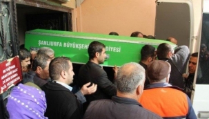 Şanlıurfa'da 9 kişi hayatını kaybetti!