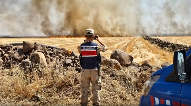 Şanlıurfa'da anız yakanlara cezalar geliyor