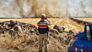 Şanlıurfa'da anız yakanlara cezalar geliyor