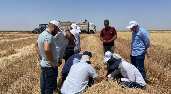Şanlıurfa'da biçerdöver kontrolörü yetiştirme eğitimi