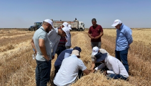 Şanlıurfa'da biçerdöver kontrolörü yetiştirme eğitimi
