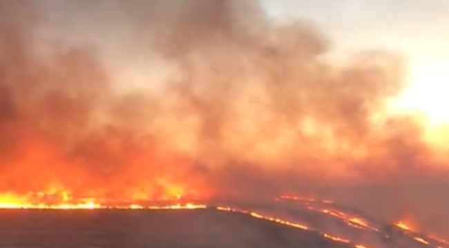 Şanlıurfa'da korkutan yangın 