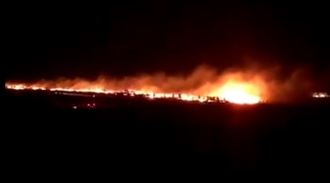 Şanlıurfa'da ormanlık alanda yangın!