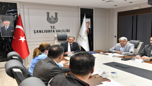 Sokak Hayvanları Konusunda Belediyeler Tarafından Yürütülen Çalışmalara Valilik'ten Yakın Takip