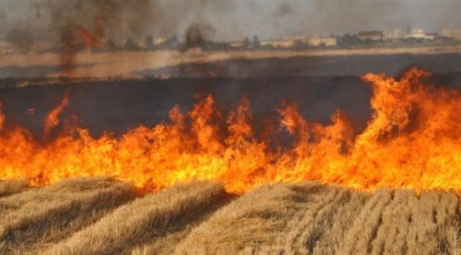 Vali Şıldak, Arazi Yangınlarına Karşı Vatandaşlara Seslendi