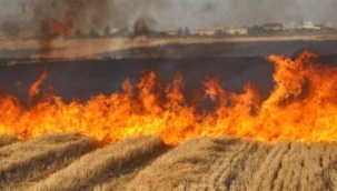 Vali Şıldak, Arazi Yangınlarına Karşı Vatandaşlara Seslendi