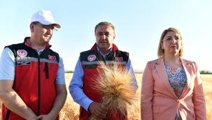 Vali Şıldak, Buğday hasadına katıldı 