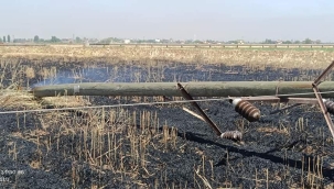 Yine anız yangını: Elektriksiz kaldılar 