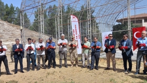 Birecik'te 30 kelaynak kuş göç etmek içim doğaya bırakıldı