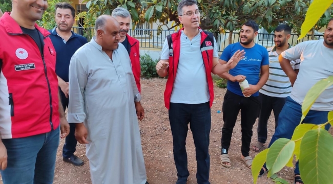 Cevizde kök çürüklüğüne dikkat! İşte çözüm önerileri…