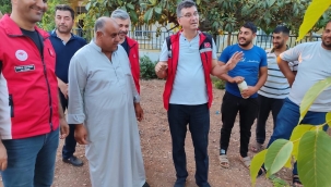 Cevizde kök çürüklüğüne dikkat! İşte çözüm önerileri…