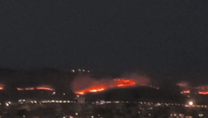 Haliliye'de yangın 