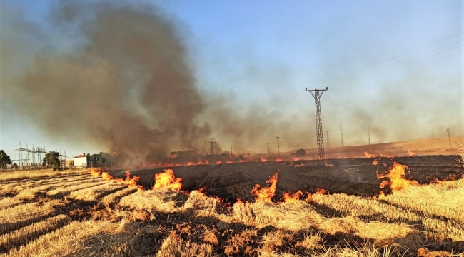 Şanlıurfa'da 16 Mahalle Elektriksiz Kaldı