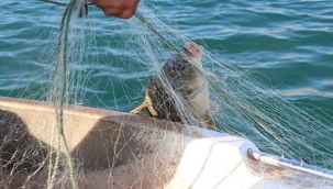 Şanlıurfa'da av yasağı sona erdi: Balıkçılar, Atatürk Barajı'na ağ atmaya başladı