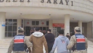 Şanlıurfa'da emniyet ve jandarmadan operasyon: Yüzlerce gözaltı!