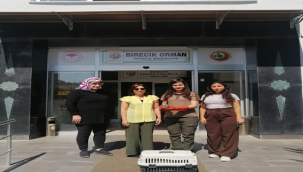 Şanlıurfa'da Gökkuzgun bitkin halde bulundu