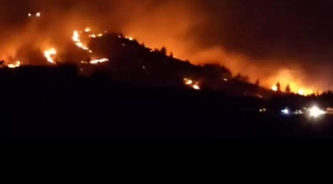 Şanlıurfa'da korkutan yangın