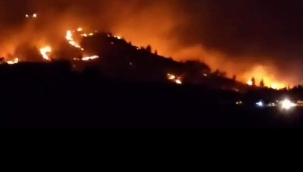 Şanlıurfa'da korkutan yangın