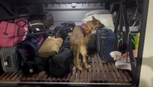 Şanlıurfa'da silah ve uyuşturucu operasyonu, 11 gözaltı