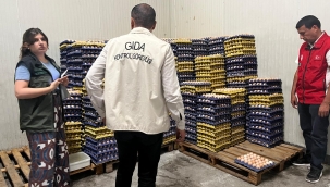 Şanlıurfa'da tonlarca bozuk gıda maddesi imha edildi