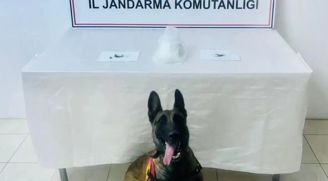Şanlıurfa'da uyuşturucu operasyonu, 2 gözaltı