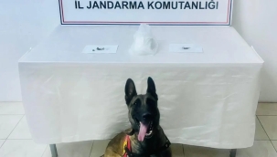 Şanlıurfa'da uyuşturucu operasyonu, 2 gözaltı