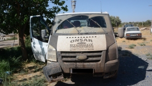 TİGEM'deki fıstık hırsızları yakalandı