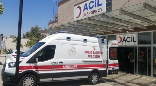 Birecik'te kamyonet ile otomobil çarpıştı: 2 yaralı