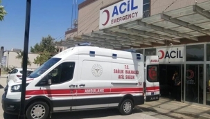 Birecik'te kamyonet ile otomobil çarpıştı: 2 yaralı