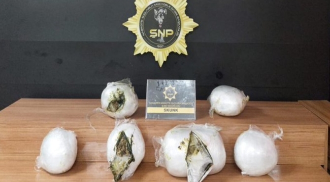 Şanlıurfa'da 14 kilo 250 gram skunk maddesi ele geçirdi