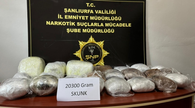 Şanlıurfa'da 20 kilo 300 gram skunk ele geçirildi