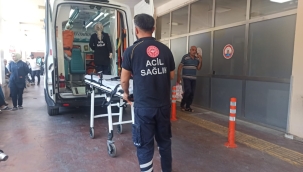 Şanlıurfa'da otomobilin çarptığı kadın öldü