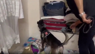 Şanlıurfa'da torbacı operasyonu: 41 gözaltı