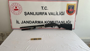 Suruç'ta  jandarma operasyonu: 168 kök kenevir ele geçirildi!