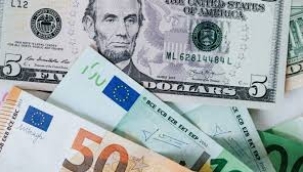 Döviz kuru bugün kaç TL'den işlem görüyor?