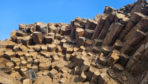 Dünyada sadece 5 tane var biri Şanlıurfa'da!