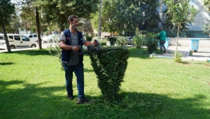 Haliliye Belediyesi ile yeşil alanlara önem veriliyor 