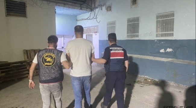Şanlıurfa'da aranan firari çobanlık yaparken yakalandı