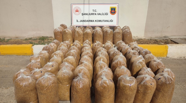 Şanlıurfa'da çok sayıda silah ve tütün ele geçirildi
