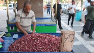 Şanlıurfa'da fıstık fiyatları düştü