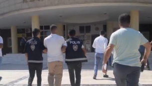 Şanlıurfa'da hayvan hırsızı yakandı