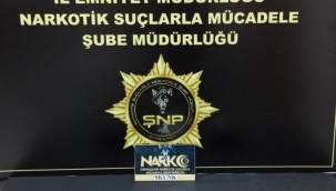 Şanlıurfa'da jandarma ve polisten uyuşturucu operasyonları: 10 gözaltı