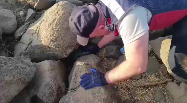 Şanlıurfa'da silah operasyonu: 20 gözaltı