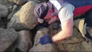 Şanlıurfa'da silah operasyonu: 20 gözaltı