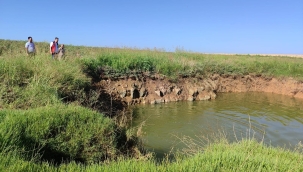 Şanlıurfa'da tarlada obruklar oluştu