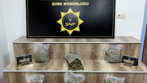 Şanlıurfa'da zehir tacirlerine darbe!