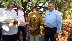 Şanlıurfa Tarımsal Üretimde De Değerlerine Sahip Çıkıyor