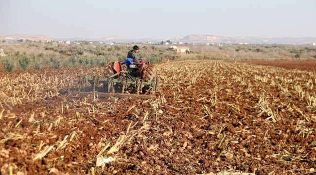 Çiftçilere 149 milyon liralık tarımsal destekleme ödemesi yapılacak